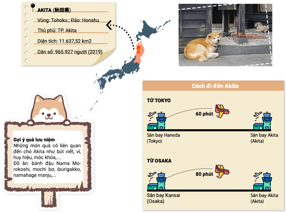 cách đi đến Akita